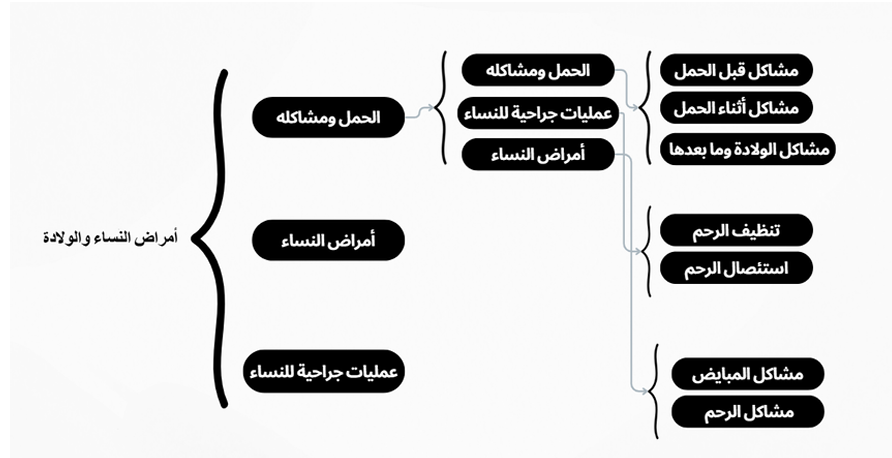 Obstetrics and Gynecology Hierarchy